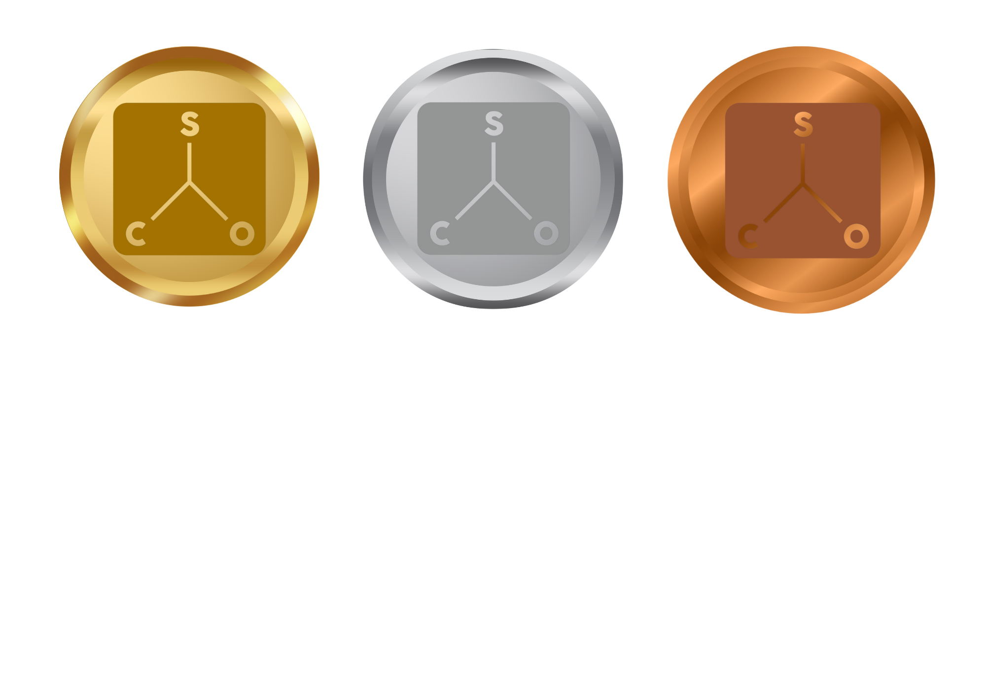 Thiết kế mặt sau huy chương